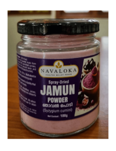 Spray Dried Jamun Powder
